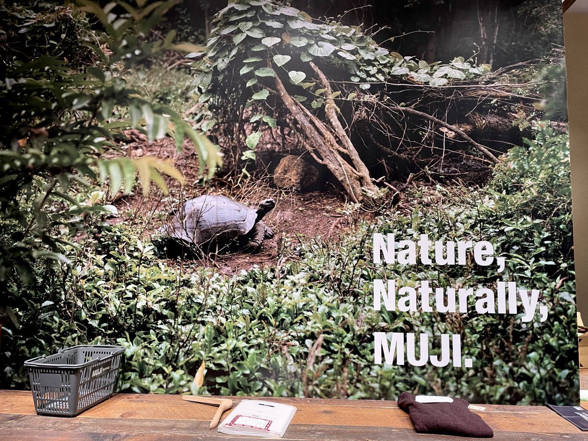 Looks like @mujiusa took a cool trip to the #Galapagos islands and got some #tortoise pix. Seen at their retail store in #downtownpdx. I’ll be honest, my first thought was: 'Whoa, I didn’t know Japan had wild tortoises!'