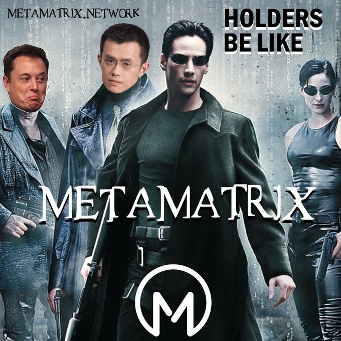 MetaMatrixBSC's tweet photo. @elonmusk LFG #MetaMatrix https://t.co/TlEWLfRsEV