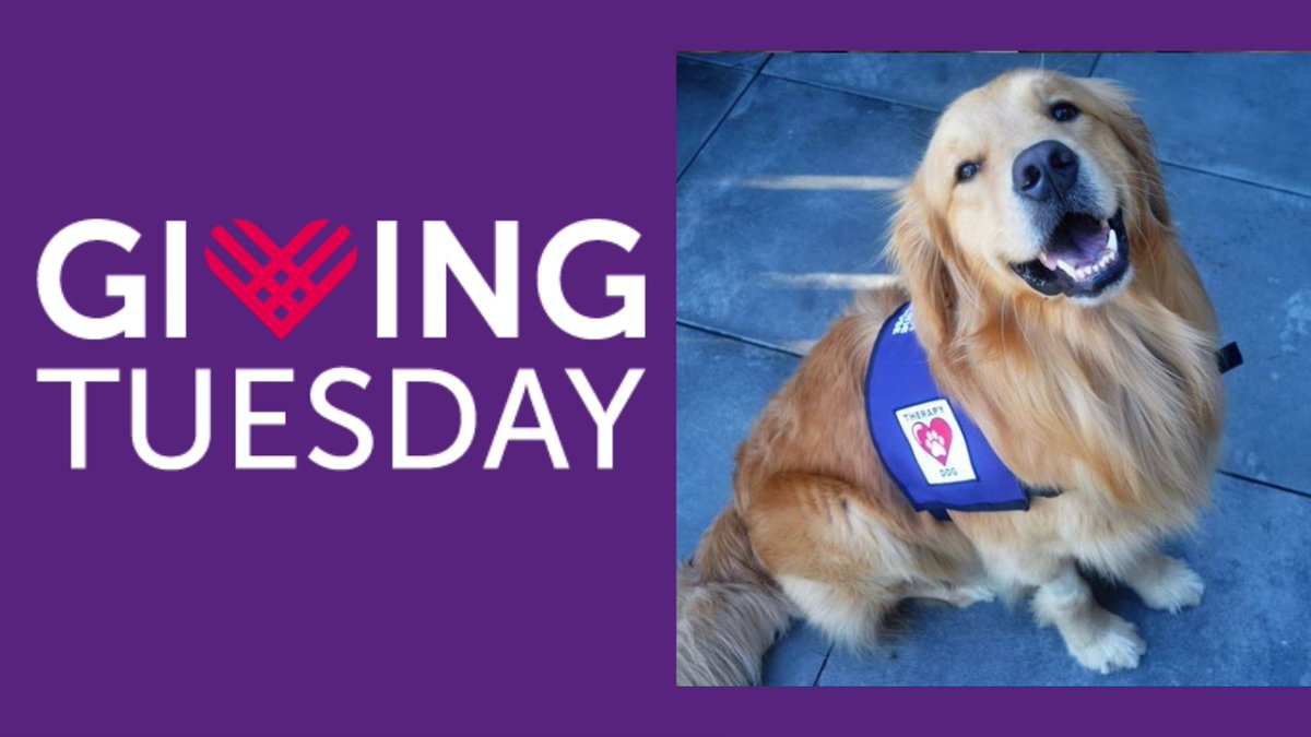 #GivingTuesday goes until midnight tonight! Can you help Project Canine fully reopen next year? Click this link to support us. tinyurl.com/4zmcr7hs
#dogs #seattledogs #therapydogs #therapydog #dogsoftwitter #dog