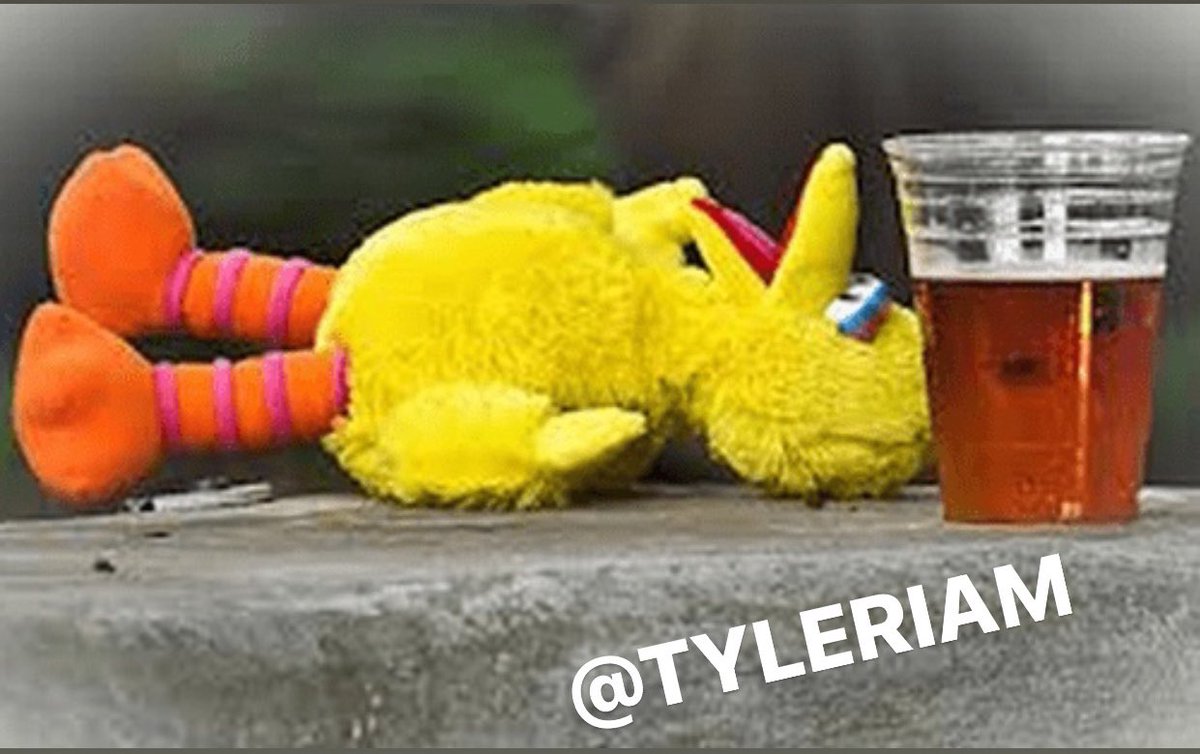 TylerIAm's tweet photo. Photo i shot of big bird after we wrapped filming in 2011. Yes, it’s real. He said “I shouldn’t have smoked that shit boi” and laid down. 

I’ve kept this under wraps for ten years now. Yes. It is real https://t.co/ifs0tK3Jve