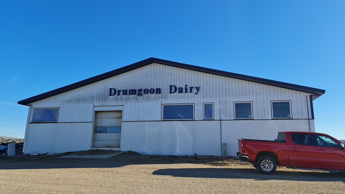 tdibble90's tweet image. Day 1 Alta Mid West Tour 21
Drumagoon Dairy 2x Gea rapid exits 20x Delaval robots, 37L ecm, 30% pg rate. Passionate family run commercial dairy with an inspiring transition from 20 milkers in Ireland to 6400 in South Dakota. Rodney Elliot the original dairyman @AltaGeneticsUK