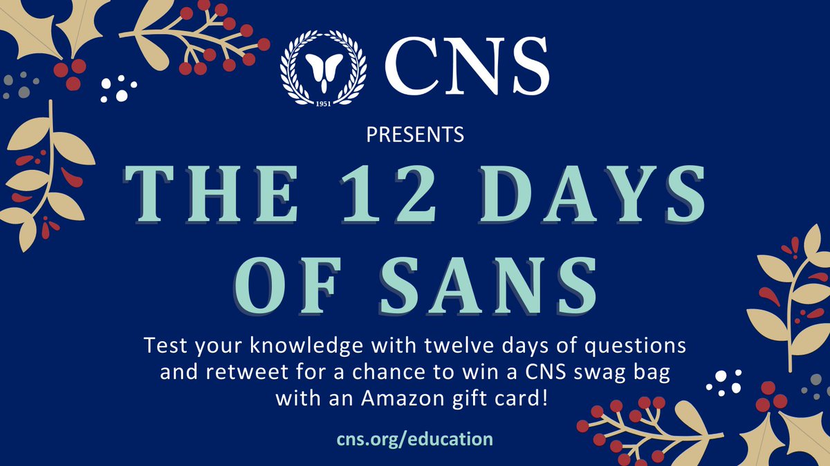 CNS_Update's tweet photo. Kick off the holiday season with 12 Days of SANS! Every day at 10:00 am CT we will be tweeting out 3 SANS questions for our followers to participate in. Those who retweet our top post each day will be entered to win a CNS swag bag and Amazon gift card! #12DaysofSANS. https://t.co/gXVJEChpP9