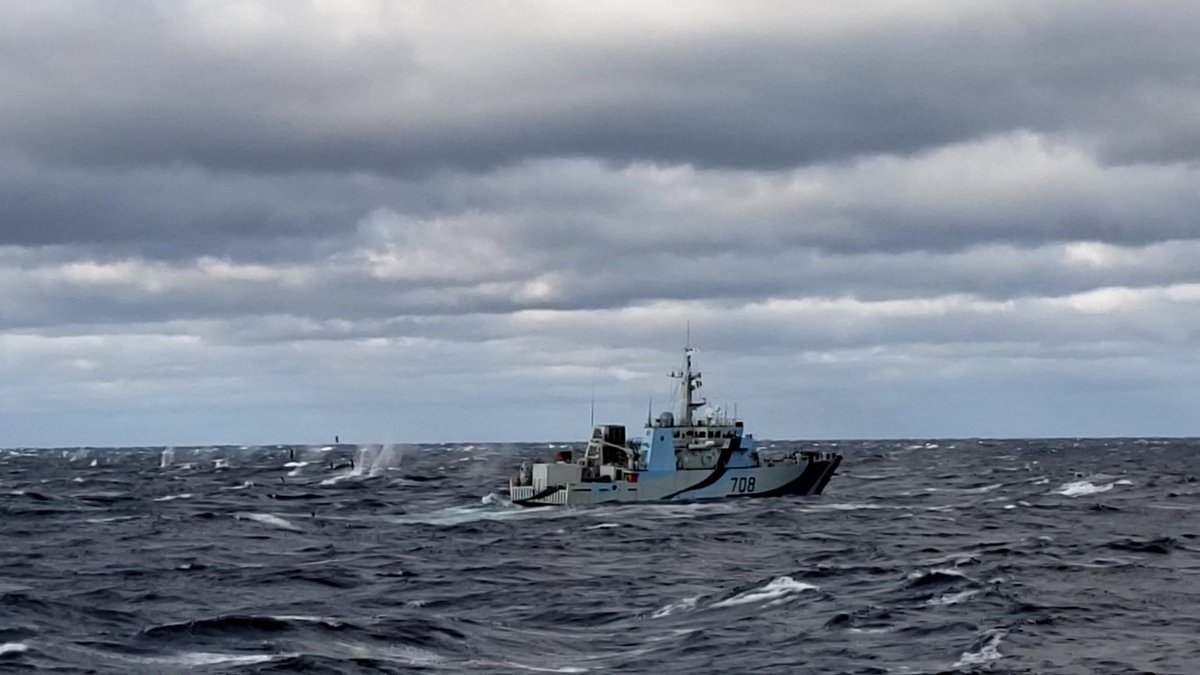 The sea was angry that day my friends, like an old man trying to send back soup at the deli.

But that didn't stop #HMCSMoncton from conducting .50 Cal Gunnery to work her ship's company during our Mission-Specific Readiness Training today.

#TrainAsYouFight