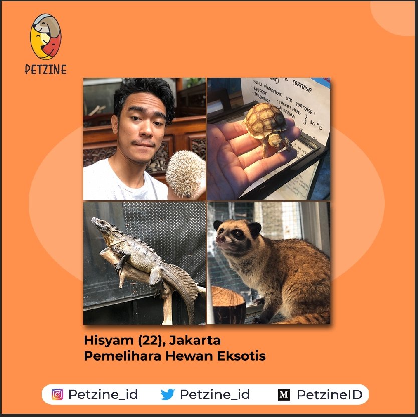 Petzine_id's tweet photo. Halo Sobat Petzine!

Penasaran bagaimana rasanya memelihara hewan eksotis? 

Buat kamu yang penasaran, jangan lewatkan Petcast episode 1 yang akan tayang malam ini di Anchor dan Spotify PetzineID! 

#PetzineID #HewanPeliharaan #HewanEksotis https://t.co/kKARwGkYHH