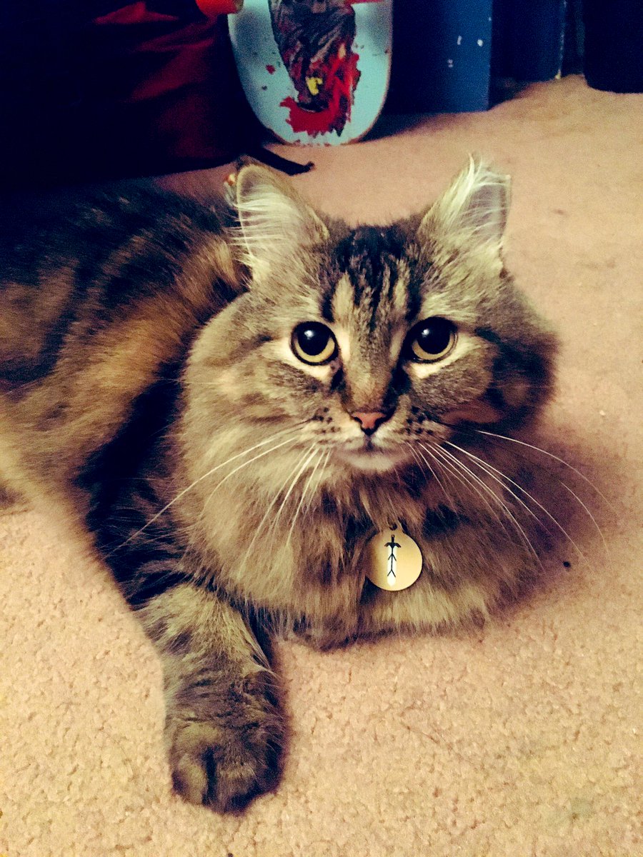 Valentine tweet media