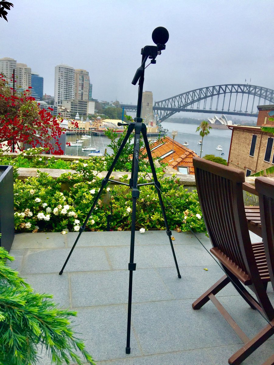 A nice spot for noise monitoring
