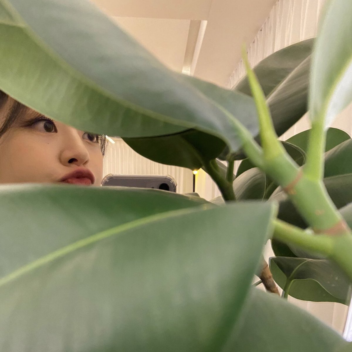 seeunthinker's tweet photo. this genre of seeun. https://t.co/wy5HSKjI9g