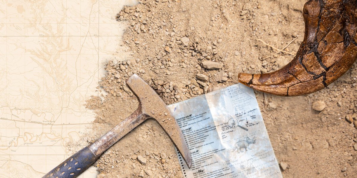 UW paleontologists and students have unearthed significant dinosaur fossils — including a possible new species — in the Montana badlands.
"This is dino country," says Greg Wilson Mantilla, curator of vertebrate paleontology at the <a href="/burkemuseum/">Burke Museum of Natural History and Culture</a>.
#ThisIsUW
washington.edu/boundless/burk…