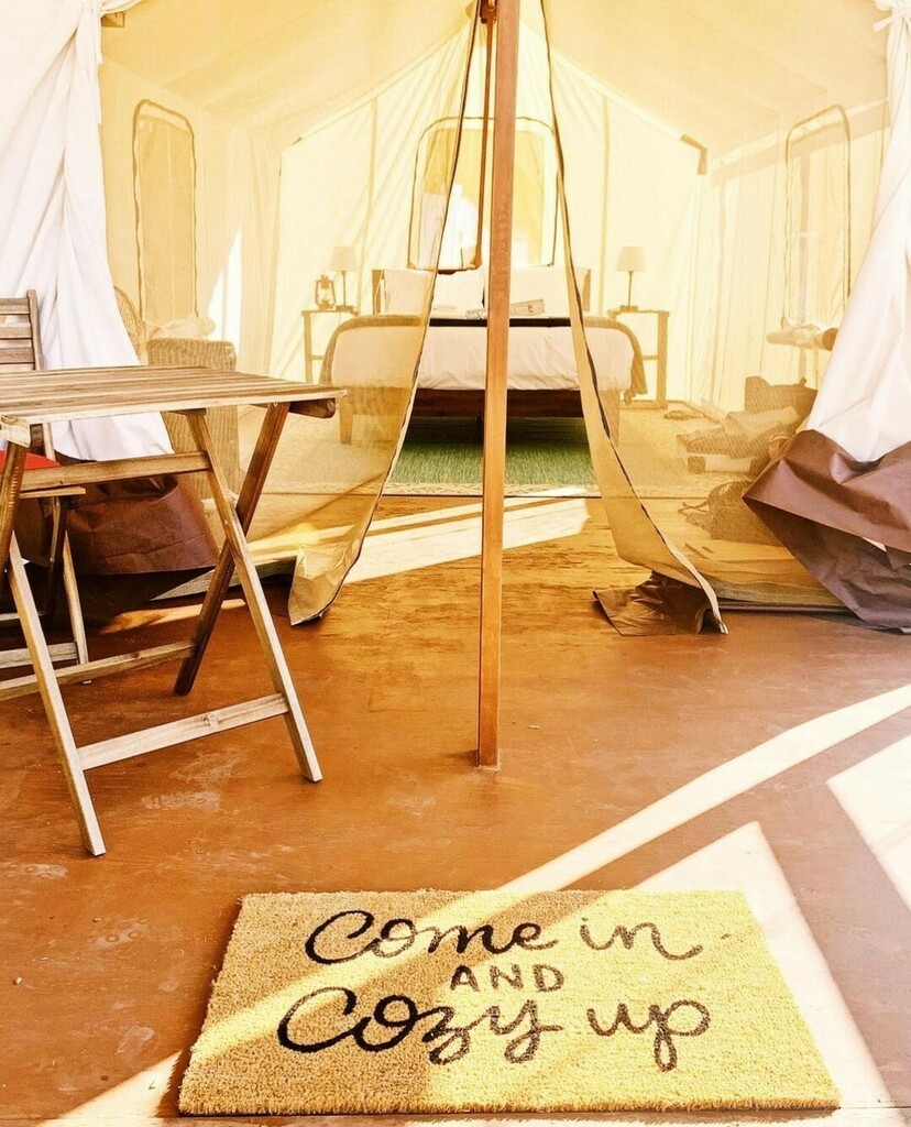 sonoma's tweet photo. It's cozy season and Wildhaven's glampground has the coziest tents, set right on the Russian River. ⁠
⁠
⁠
⁠
📷 @northbaywinetours #russianriver #healdsburg #visithealdsburg #glamping #glampground #cozyup #wildhaven #wildhavensonoma #visitsonona #c… https://t.co/lE1rdtx0J2 https://t.co/eSLTbpgcoV