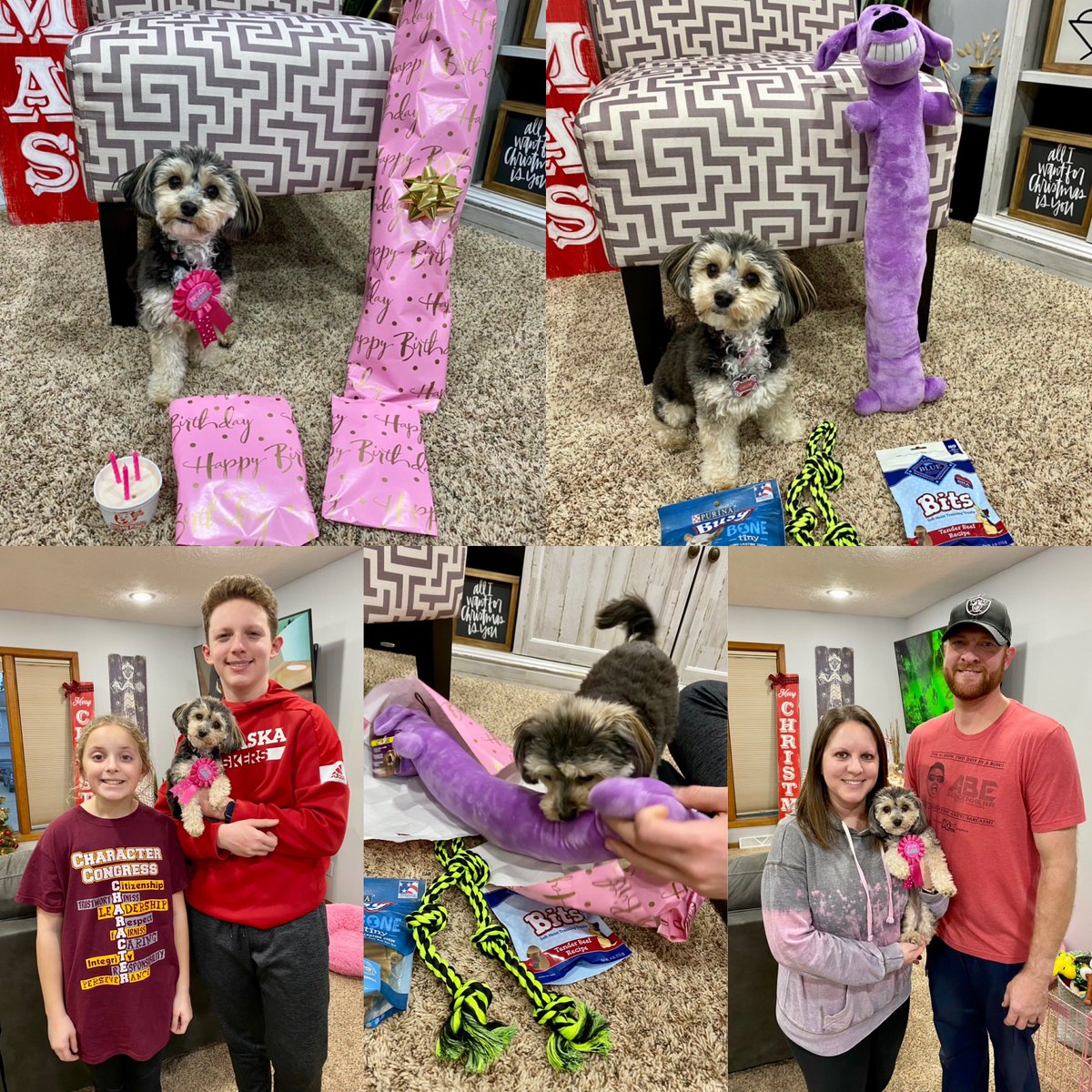 tonyaoswald's tweet photo. 💖🐾🥳🎉Celebrated this sweet little girl tonight! Toys, treats and a Frosty Paw for Chloe!! So glad she’s a part of our family! Happy 3rd Birthday, Chloe Rae!! We love you!🎉🥳🐾💖 https://t.co/VwTkInzAsa
