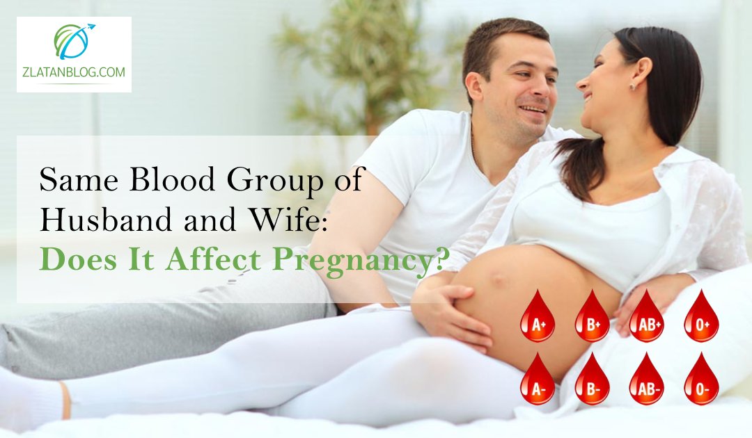 Same Blood Group of Husband And Wife blog link mentioned below.
zlatanblog.com/same-blood-gro…
------------------------------------------------
ZlatanBlog is the perfect destination for trusted Entertainment, Sports, Education, Business, and Health news and the latest updates.