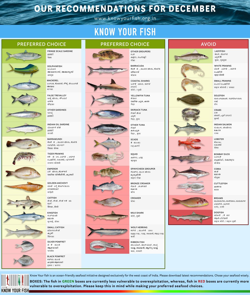 Our December seafood recommendations for the Indian west coast are here! Pinch and zoom to read the names, and visit our website knowyourfish.org.in for more info.