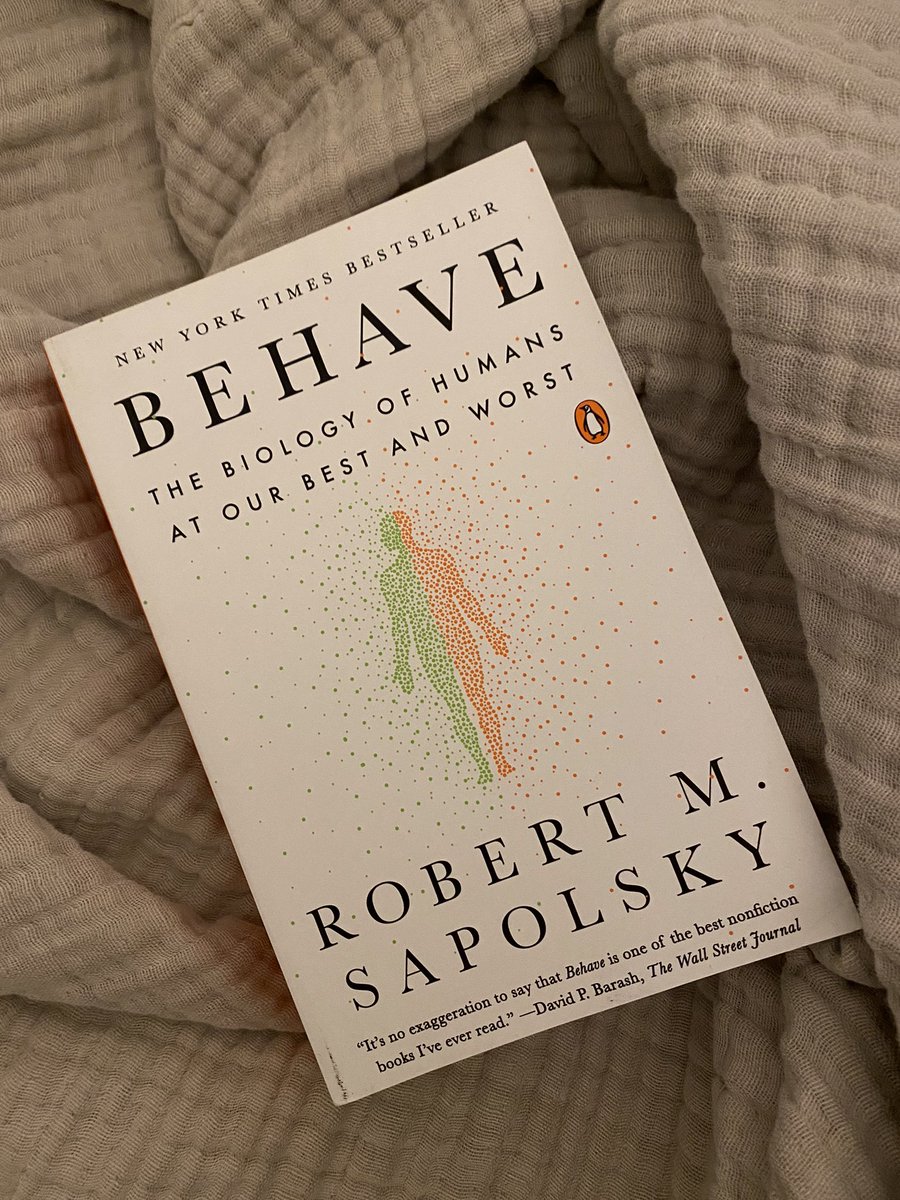 SaraTesss's tweet photo. Almost annoying how good this is🤌🏼 https://t.co/yIH2MiIQSW