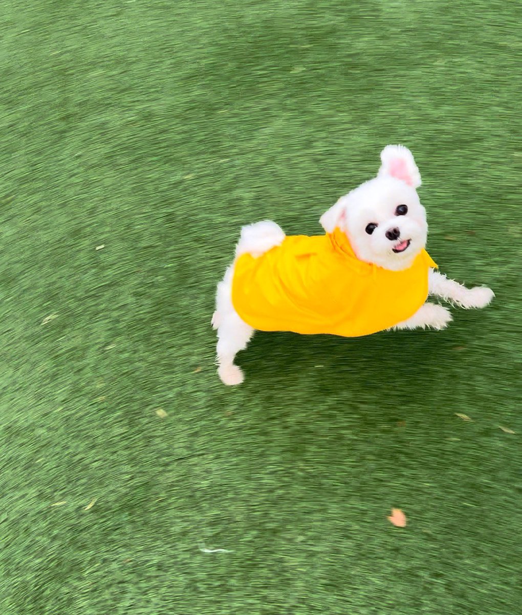 co_O315's tweet photo. 합성같아서 웃���😋 https://t.co/I0ge1hrtok