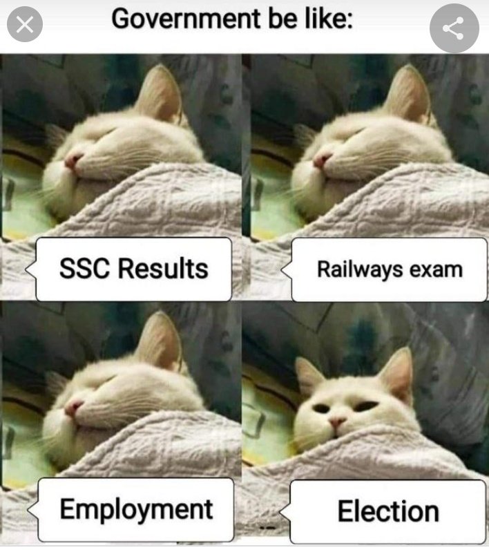 TMajumdet's tweet photo. Declare the results of rrb NTPC stage 1 examination and release the schedule 
of rrc group d exam.
@RailMinIndia
#JusticeForRailwayStudents https://t.co/27Zzatherm https://t.co/XrTLfkloCm
