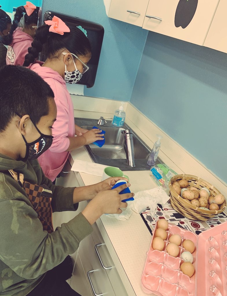 Our LOYAL Student Council representatives working hard and taking responsibility for our fresh laid eggs. @MortElementary <a href="/sturgeonsquad/">Shannon Sturgeon</a> #wearemort