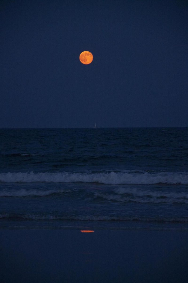 moonpicxs's tweet image. 