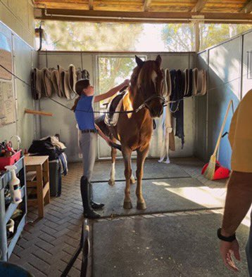 Congratulations, Sarah! 🎉 And welcome to the family, Tom. 🖤 Born in Germany, Tom is a German Riding pony and will be arriving soon from Hinnemann Farm in Murietta, California. 🇩🇪