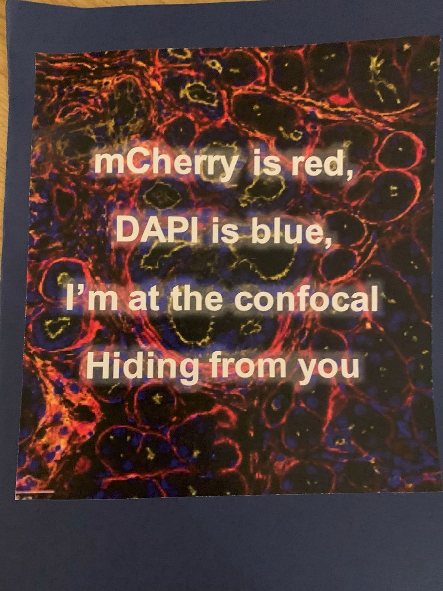 Thomas Yip tweet media