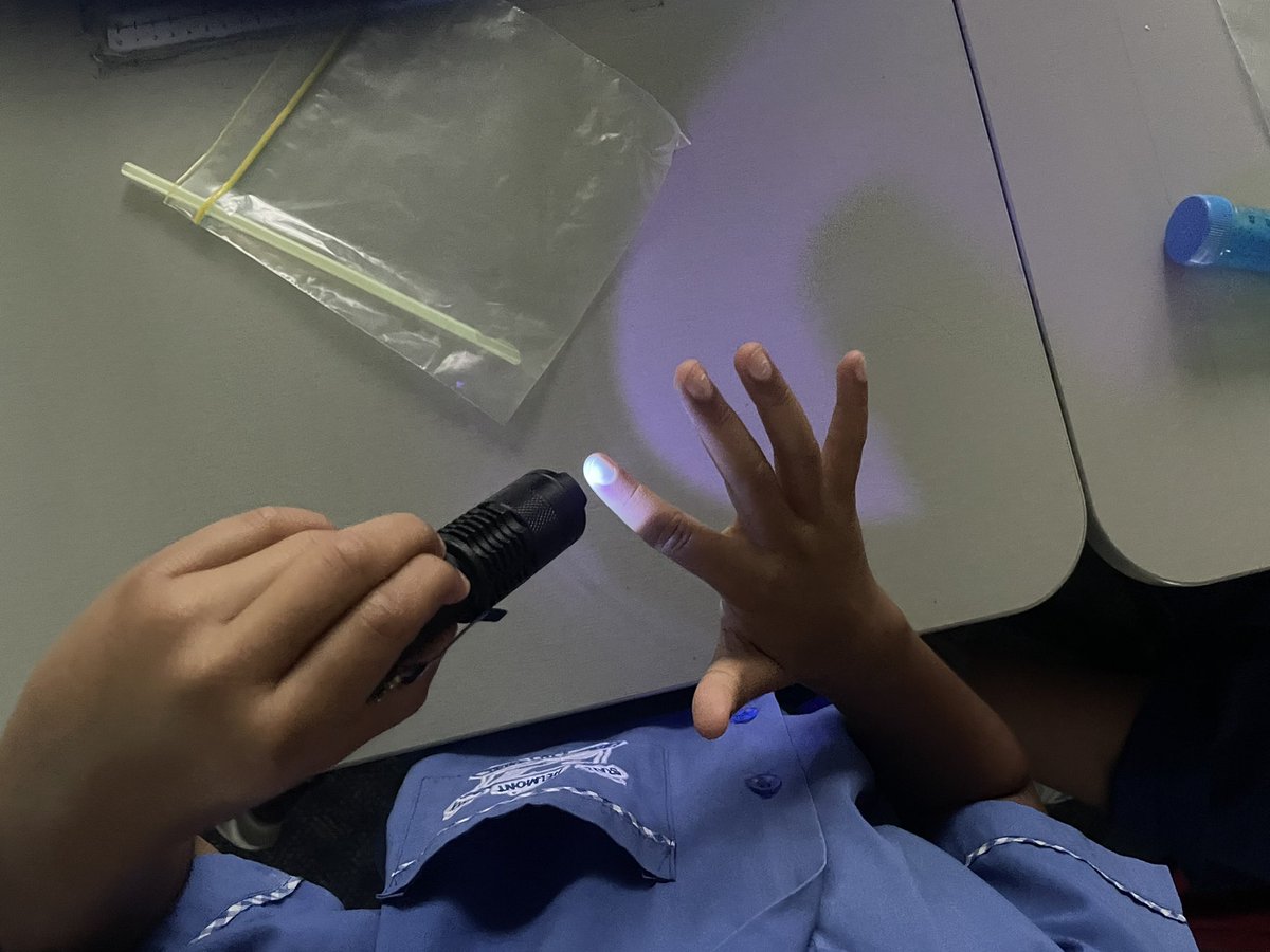 sumaira_hasnain's tweet photo. Always satisfying to see kids (7 year olds) excited about science when I talk to them about lungs, mucus and germs! @MaterResearch @UQMedicine #nextgenerationofscientists #mucusrules #science https://t.co/ycORihhVer