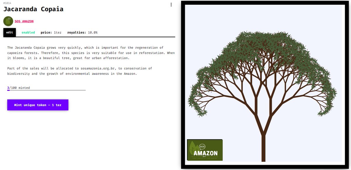 SOS_Amazon's tweet photo. The lungs of the earth thanks everyone who is buying! 💚🇧🇷

Jacaranda Copaia - avaliable on:
https://t.co/p1Xy5q6P4W https://t.co/FqtHUI6Zrh