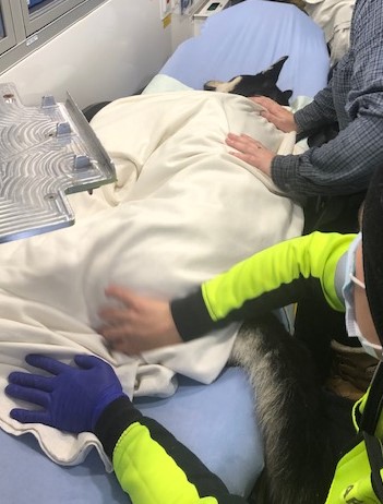 OPP East Region tweet media