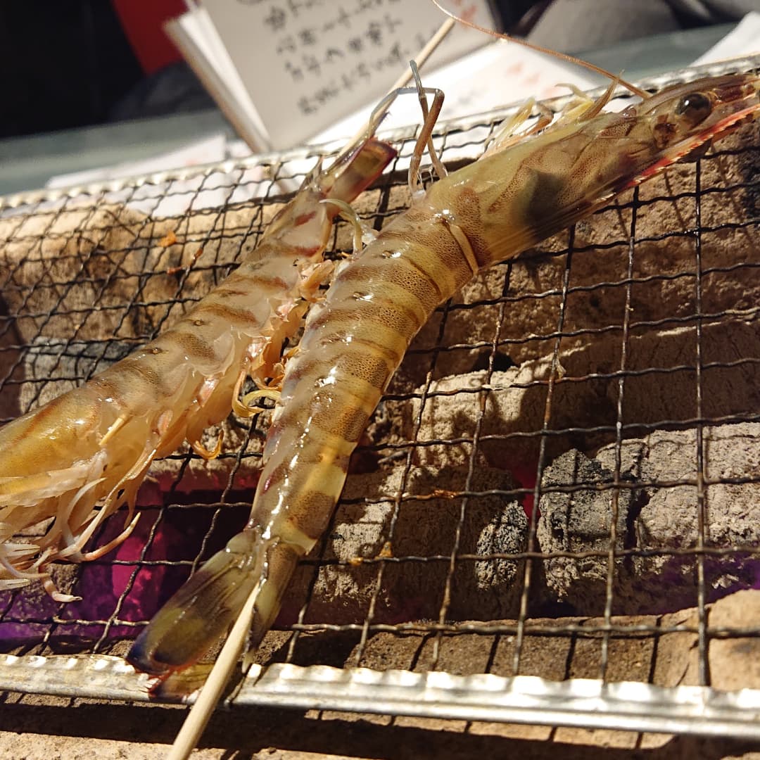 大名居酒屋 Twitter Search Twitter 大名居酒屋 Twitter Search Twitter