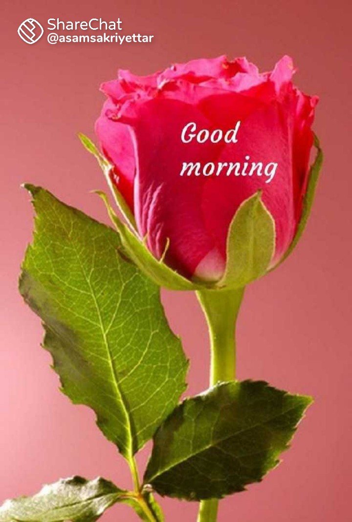 SJayapalan1's tweet photo. @Shenbacute https://t.co/Lj8kjAaLy7