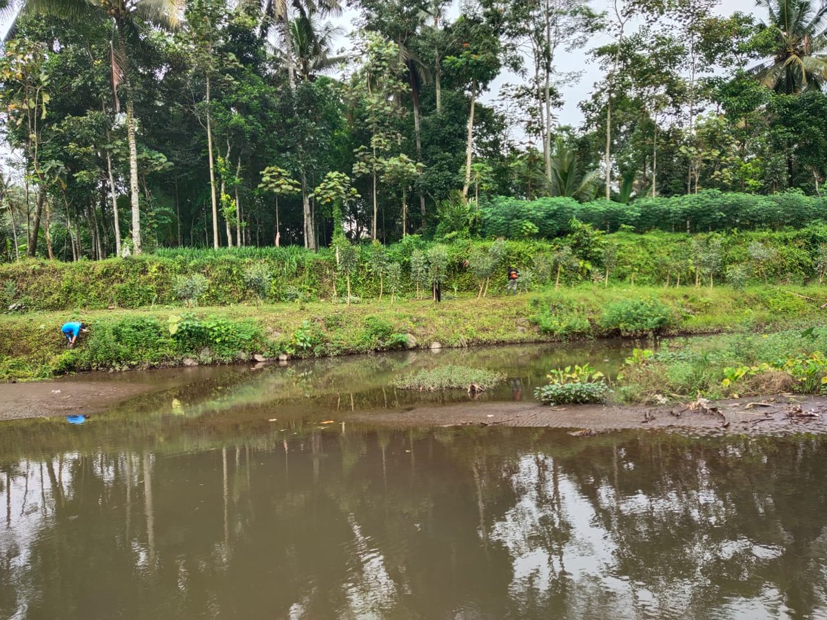 KorsdaGenteng's tweet photo. awali bulan desember tanggal 1 dengan smngat bekerja melaksanakan kegiatan perawatan saluran disetiap wilayah KoorSDA Genteng...
@PengairanBwi
@priambod
@ipukfdani https://t.co/lxj9zj9Hy2