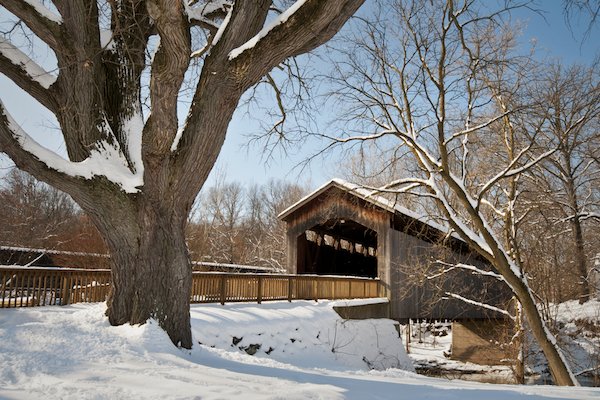 GriffinPest's tweet photo. PROBLEMS PESTS CAN MAKE FOR YOU THIS WINTER

https://t.co/DjRQfivP3b https://t.co/RxS8t7dsGT
