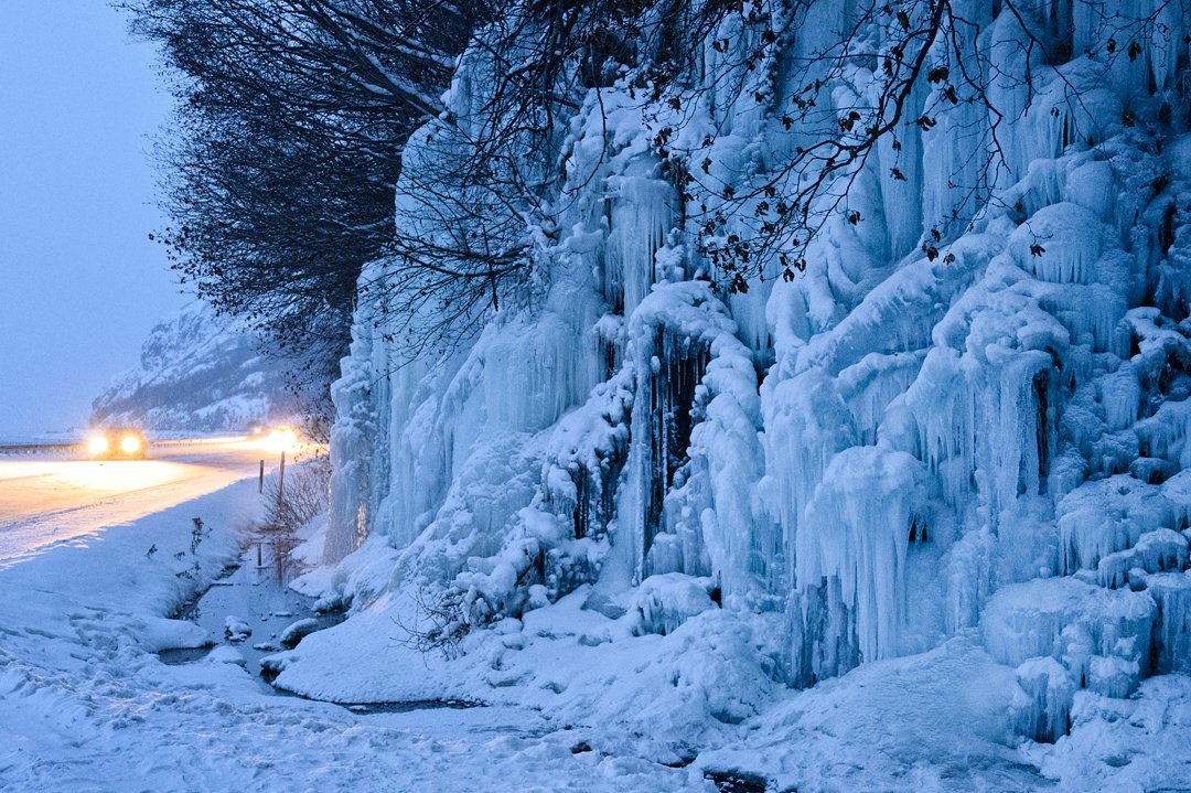 Marc Lester tweet media