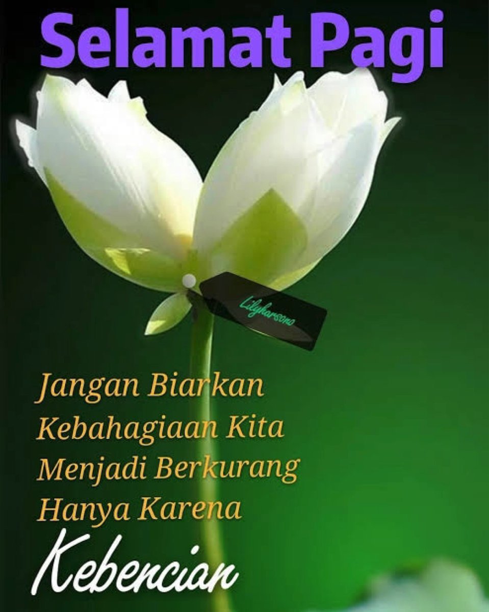 jsmhhs's tweet photo. met pagi all https://t.co/pj6GLd8pEc