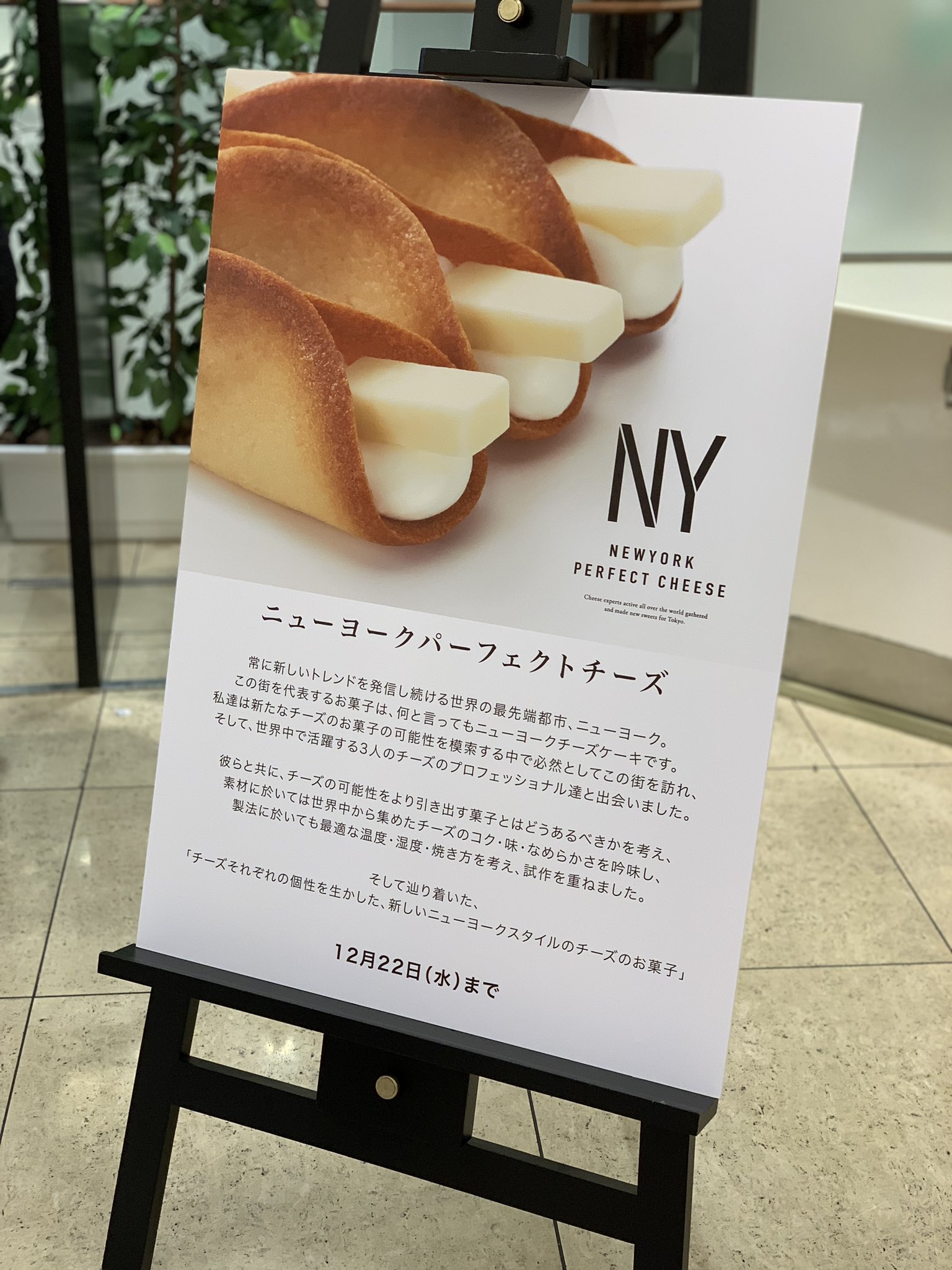 ニューヨークパーフェクトチーズ Twitter Search Twitter