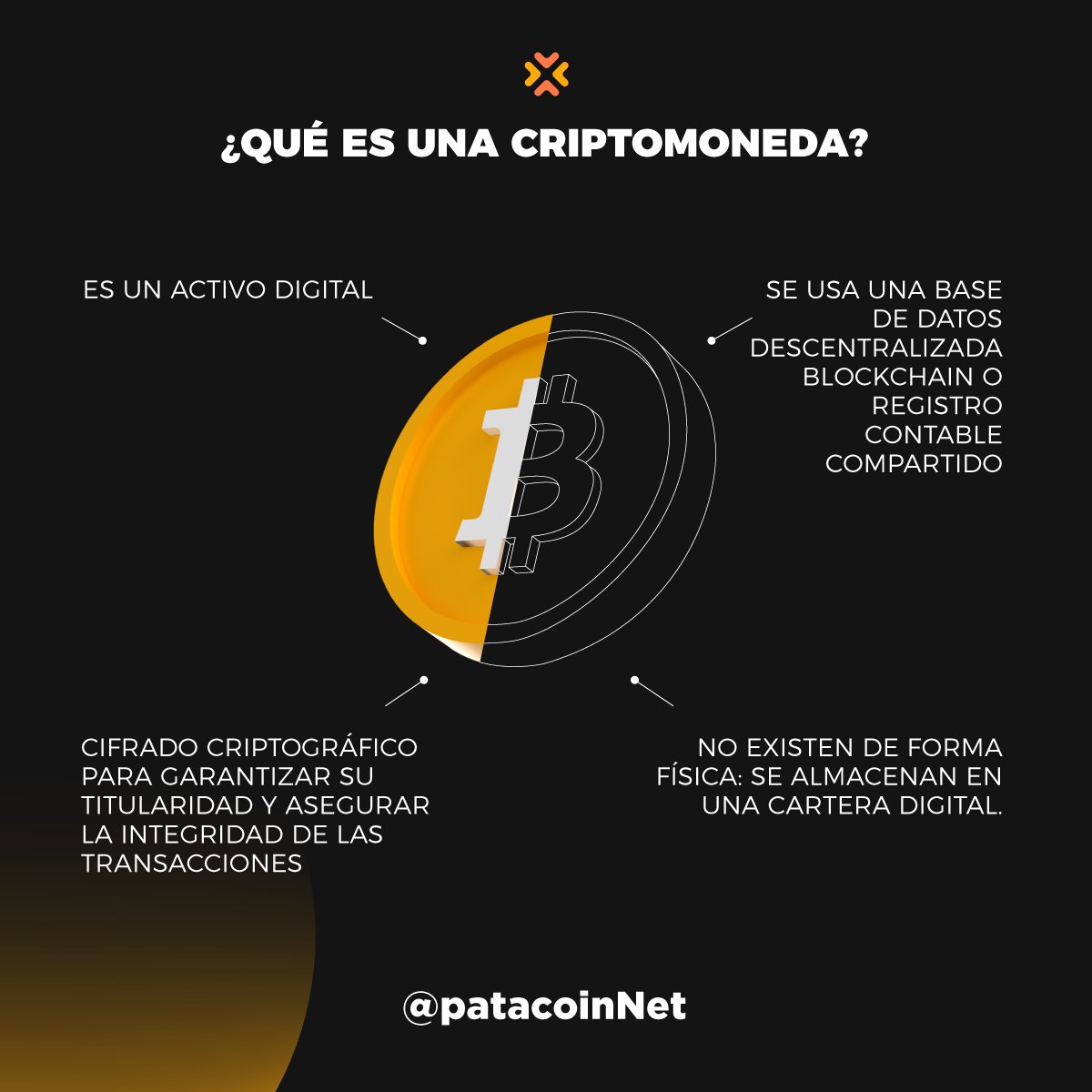 patacoin.eth tweet media