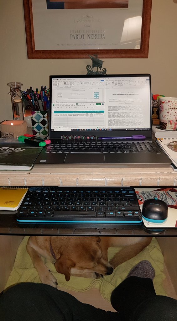 lopezgi's tweet photo. Academic Triplicity Mode: 
Manuscript writing + Reviewer + Guest Editor #multitasking 😆

You know you have a good muse when... 🐶💙📚📝

#AcademicTwitter
#LED2021 #OSLDating #Luminescence #Geochronology
#ScientificWriting https://t.co/b1FTle6LQN