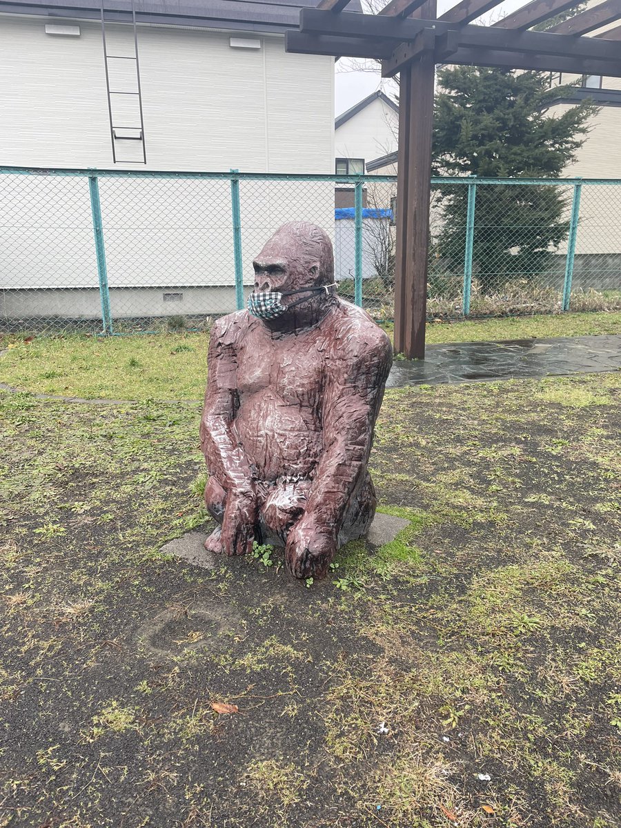 kurehaotsuki's tweet photo. 以前、余市で見つけたゴリラさん、
手稲でも発見✨

ゴリラの仕掛け人が気になって仕方ありません。

#曙どんぐり公園 https://t.co/dwFoUBWwMi