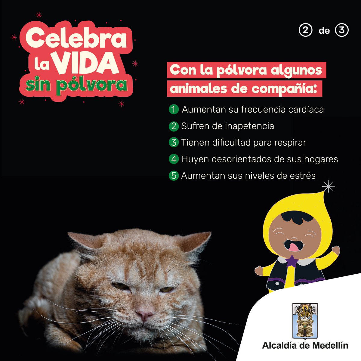 AlcaldiadeMed's tweet photo. Que la bienvenida de la Navidad no se vea opacada por afectaciones a nuestros animales 🐾.
#CelebraLaVida sin pólvora invitando a los demás a cuidar y proteger nuestra fauna. Comparte en historias la foto de tu 🐶🐱 y vamos a decirle a Medellín que nuestros animales nos importan. https://t.co/SsQokYM7zx