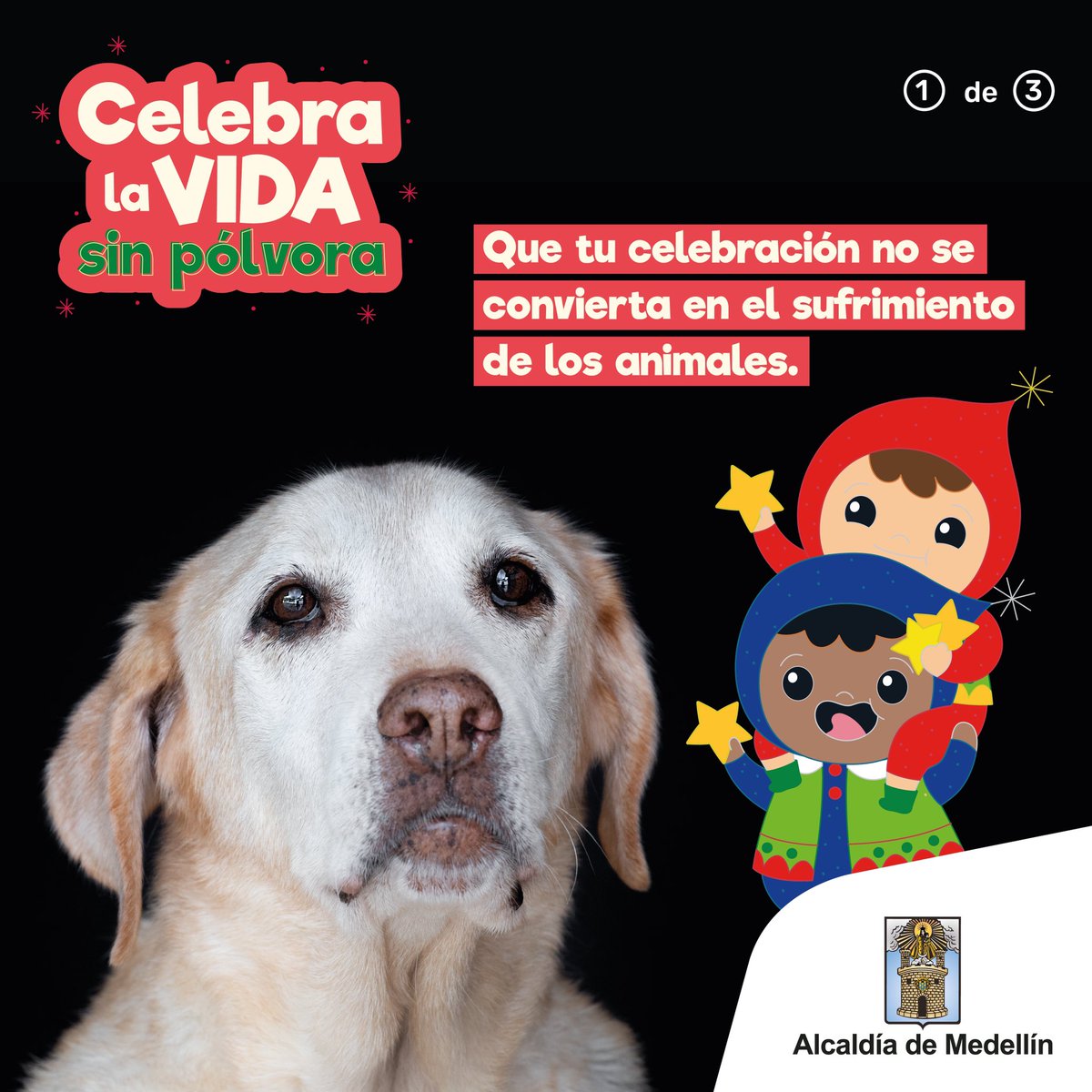 AlcaldiadeMed's tweet photo. Que la bienvenida de la Navidad no se vea opacada por afectaciones a nuestros animales 🐾.
#CelebraLaVida sin pólvora invitando a los demás a cuidar y proteger nuestra fauna. Comparte en historias la foto de tu 🐶🐱 y vamos a decirle a Medellín que nuestros animales nos importan. https://t.co/SsQokYM7zx