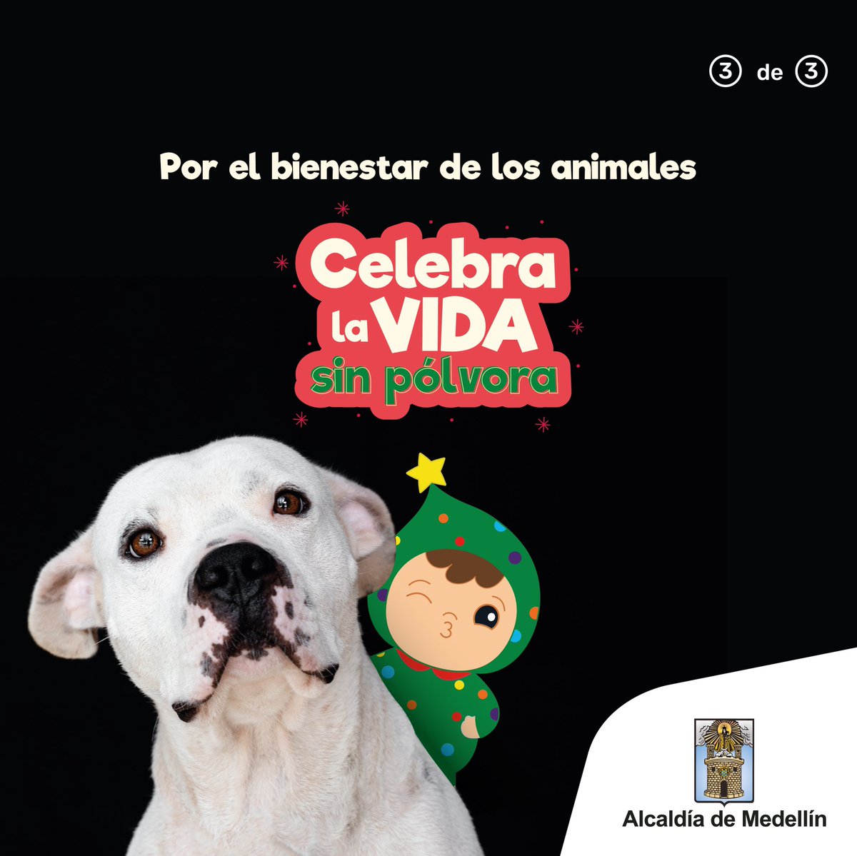 AlcaldiadeMed's tweet photo. Que la bienvenida de la Navidad no se vea opacada por afectaciones a nuestros animales 🐾.
#CelebraLaVida sin pólvora invitando a los demás a cuidar y proteger nuestra fauna. Comparte en historias la foto de tu 🐶🐱 y vamos a decirle a Medellín que nuestros animales nos importan. https://t.co/SsQokYM7zx