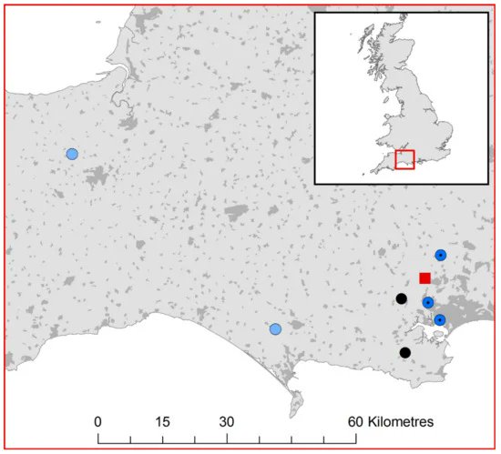 VirusesMDPI's tweet photo. Incursion of European Bat Lyssavirus 1 (EBLV-1) in #Serotine #Bats in the United Kingdom. Full paper at https://t.co/QF7dDu36tv https://t.co/fhmj7rW9R8