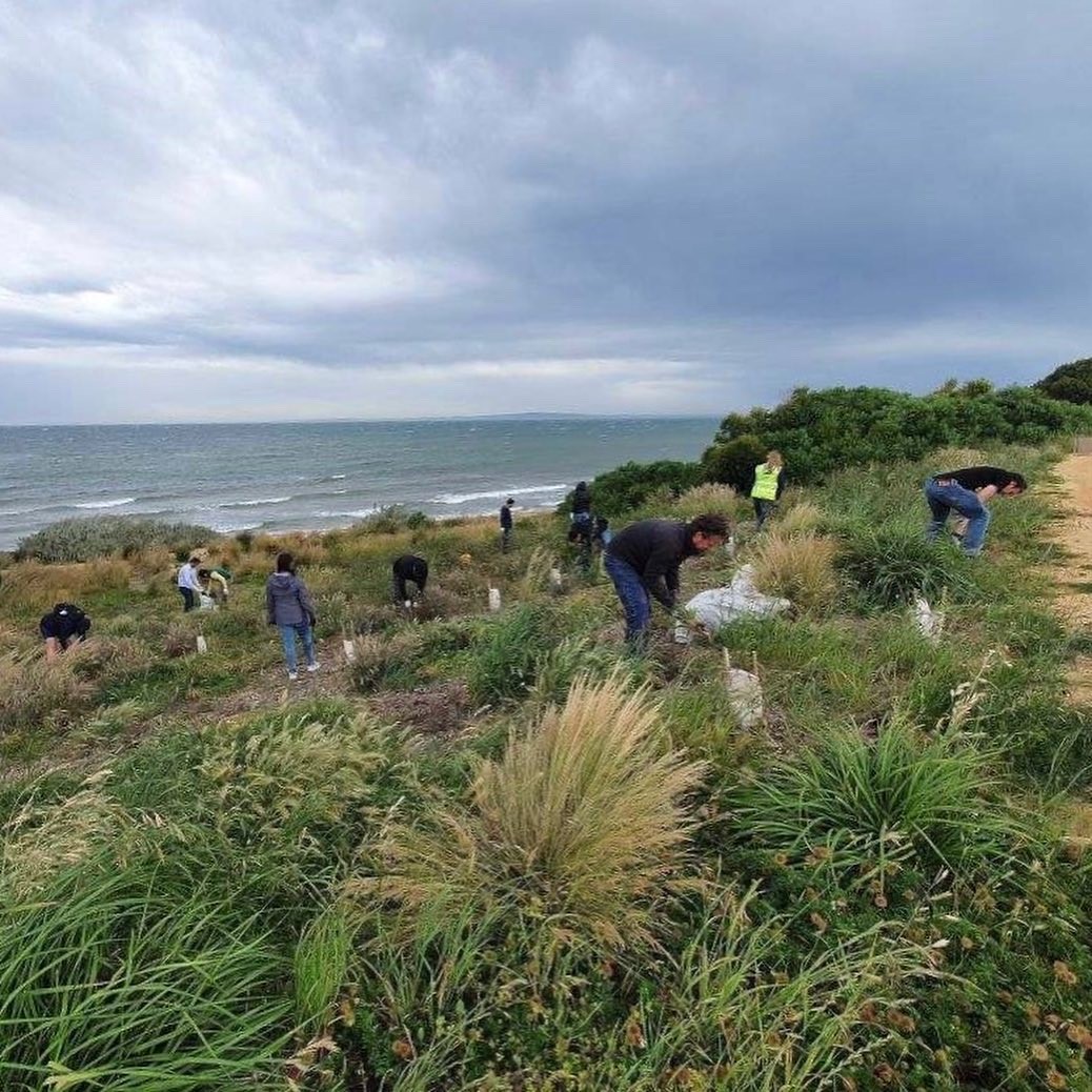 BellBayside's tweet photo. Thank you to @vysusgroup who assisted our Conservation crew for a day as part of a coordinated global volunteering effort to celebrate their one-year anniversary.

The Melbourne based staff helped remove a whole trailer full of weeds along the coast! Wow, what a great effort! https://t.co/96bLc90e3y