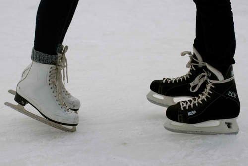 arcticnaka95's tweet image. 🤍 – Bom essas foram as florzinhas e queria dizer que elas são lindas, mas você é mais lindo que elas. E agora, Mark Lee quer ir em uma aventura no gelo comigo?