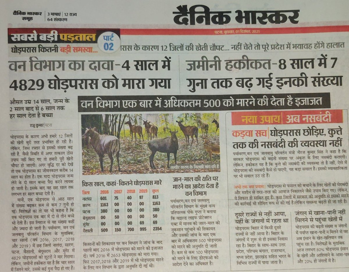 LiveSwaraj's tweet photo. Where is our #AnimalCruelty law? Can it be a better solution than killing an innocent animal?
@PetaIndia  @peta @biharforest @officecmbihar @DEFCCOfficial @PMOIndia https://t.co/1b66ib0w8d
