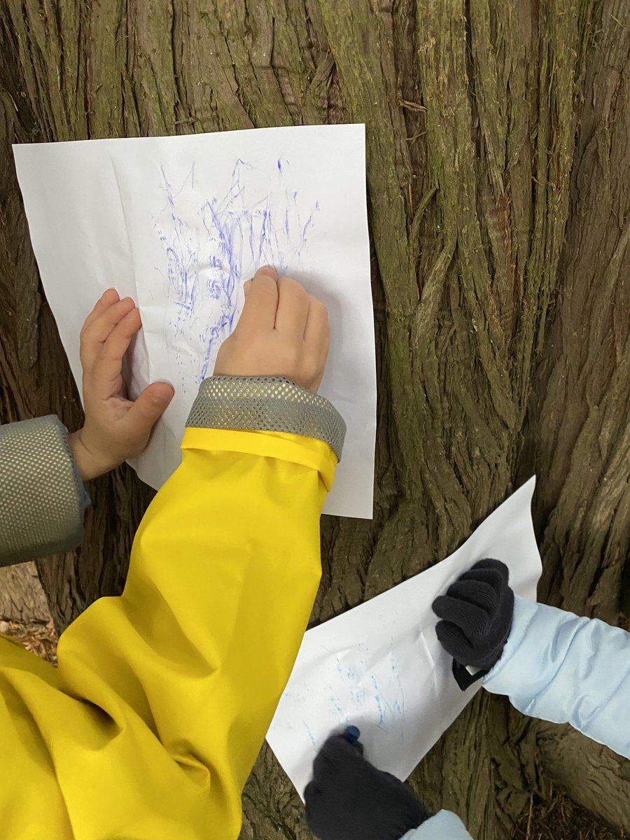 morganmonkman's tweet photo. These little learners used paper and crayons to capture the bark texture of different local tree species. This cedar tree had bumpy, striped” bark, while the alder trees had “smooth, spotted” bark 🌲 @SD62_Sooke @UVicEducation #handsonlearning #outdoored #getoutside https://t.co/HtUA6dHnOJ