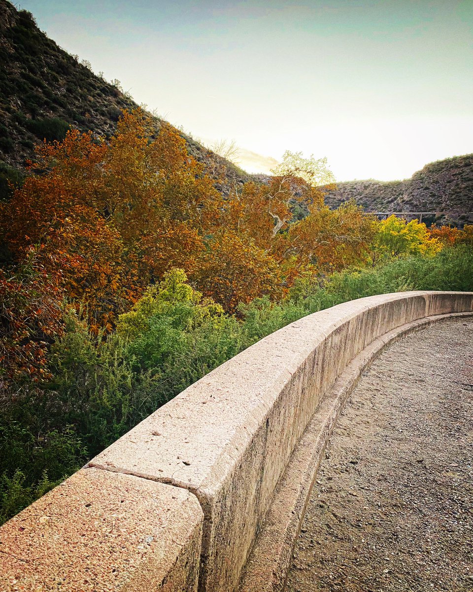 Mayor_Mila's tweet photo. Took a hike on the LOST Queen Creek Canyon Trail today. Fall is here. #superioraz #adventureelevated #explorepinal https://t.co/wmFuFI9UGG
