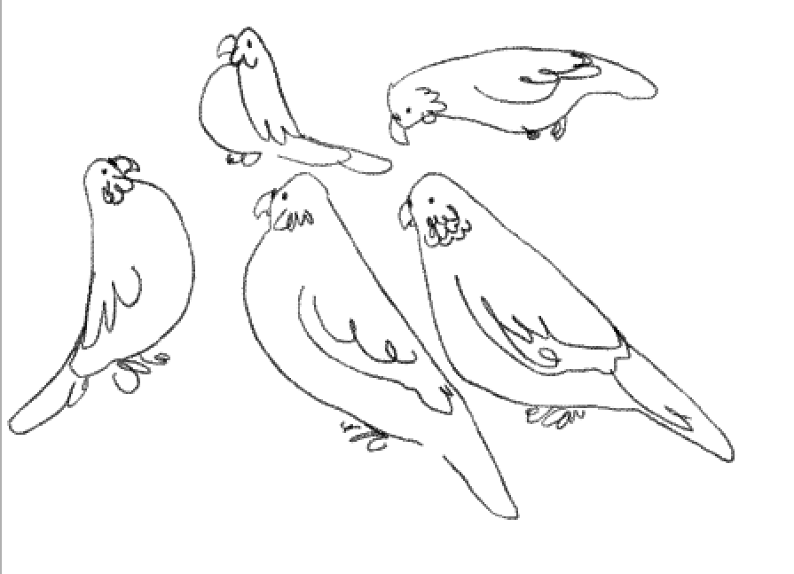 budgies are so good cause theyre shaped like this
