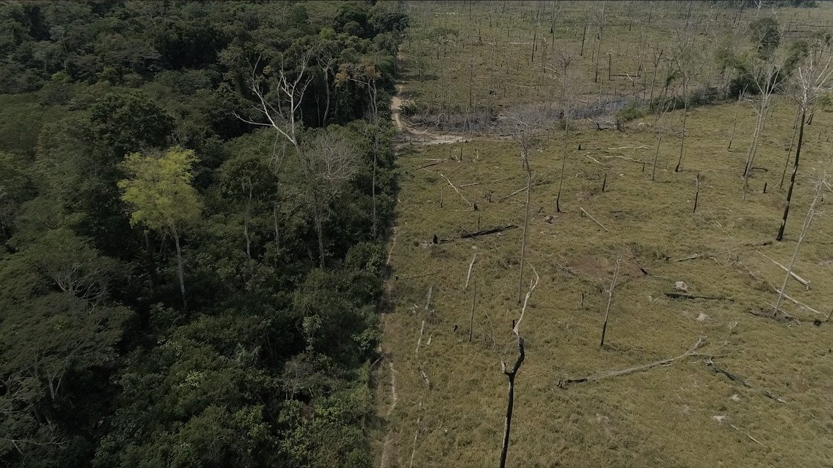 YulinEng112's tweet photo. With the climate change occurring, Brazil still cuts down excess trees illegally from the Amazon forest that absorbs harmful CO2. #deforestation #climatechange https://t.co/PXihRrwxLy