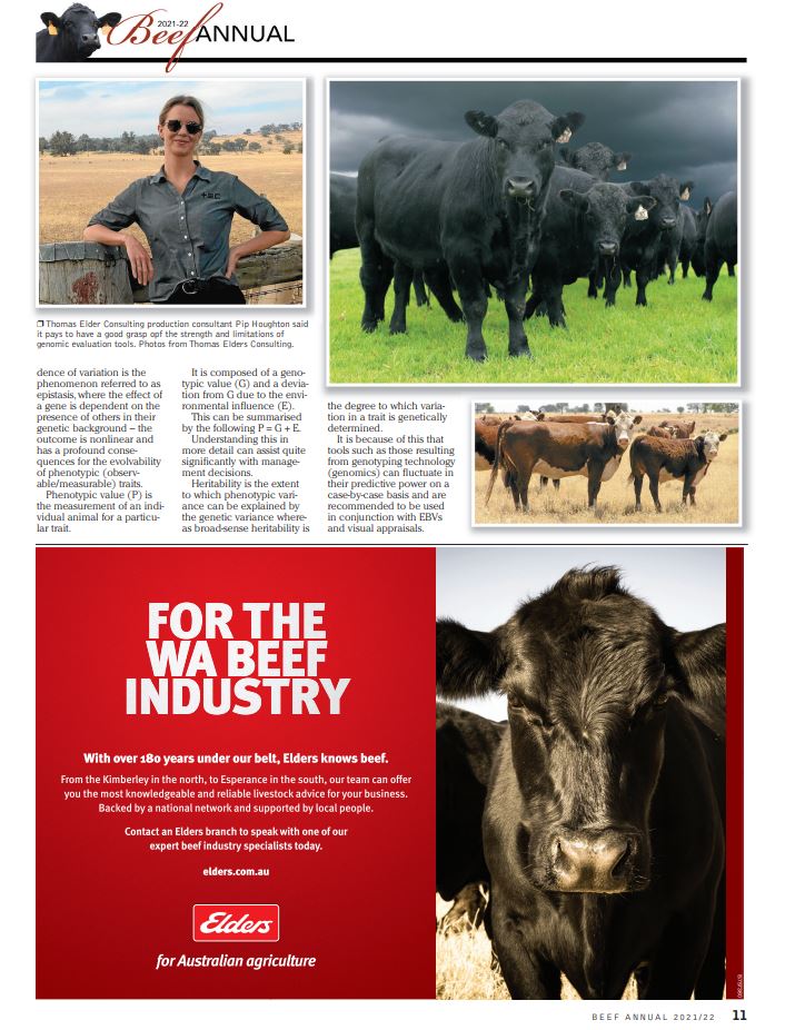 HoughtonPip's tweet photo. What is sound advice when considering genomics? @TEC_Aus @EldersLimited #Agtech #genomics #cattlegenomics https://t.co/wYnOvLyZ75