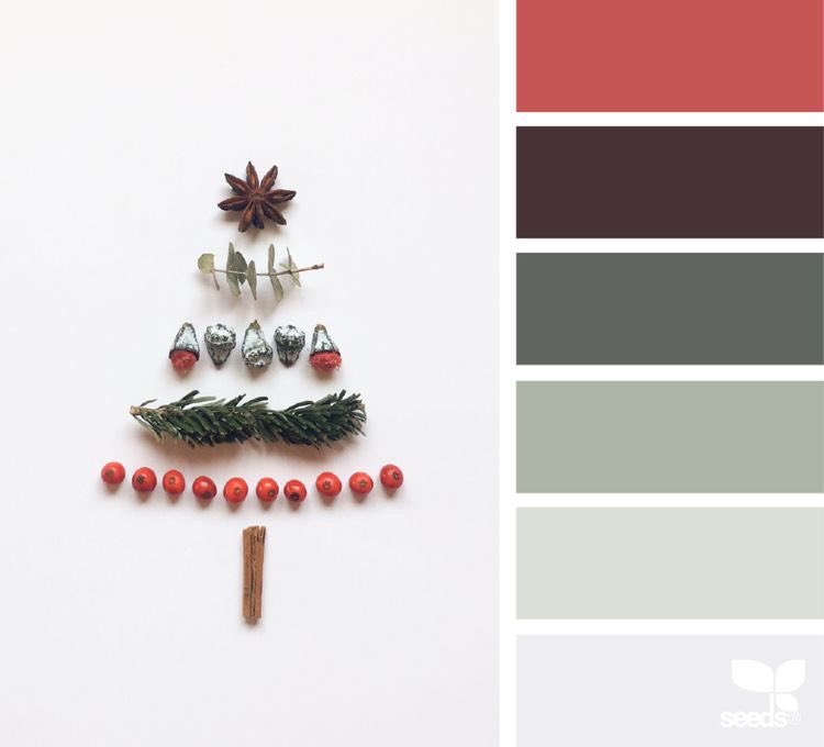 ShazriH's tweet photo. Colors of #December 
By https://t.co/BKgieyLBCO

#Christmas2021 #colors https://t.co/rIHa3J286w