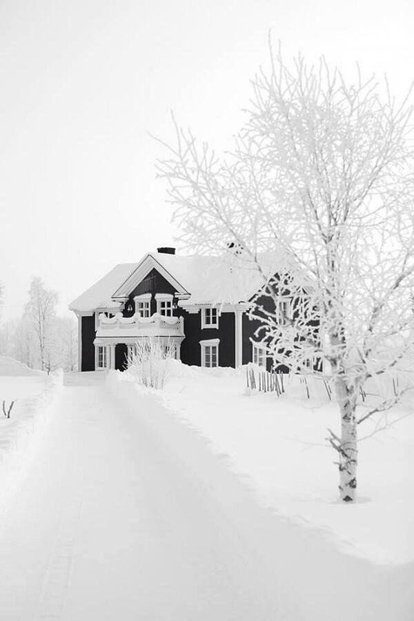 asya__all's tweet photo. Orada olmak isterdim 

Günaydın ❄️⛄️☕️ https://t.co/T9Cr0C0wbT